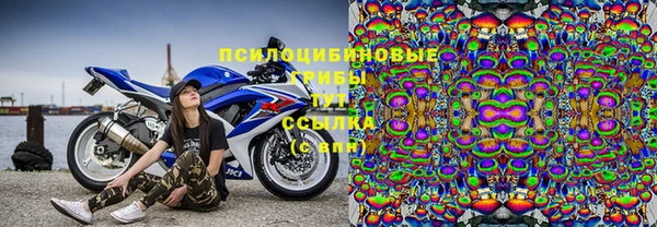 стафф Мегион