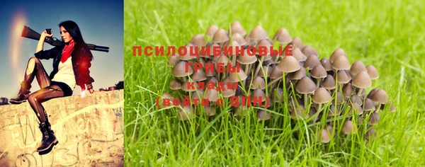 дистиллят марихуана Медногорск