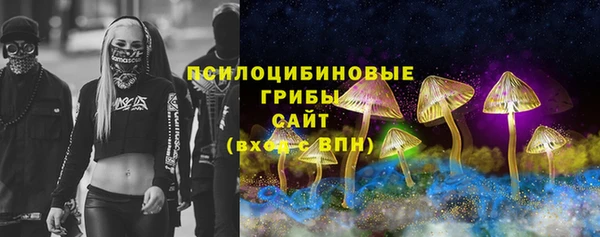дмт Медвежьегорск